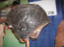 RainCapBlack.JPG (79296 bytes)