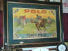 Tonik Polo close in.JPG (80291 bytes)