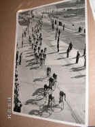 pict6613.jpg (74107 bytes)