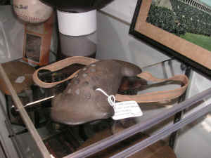 PICT0198 (Copy).JPG (396646 bytes)