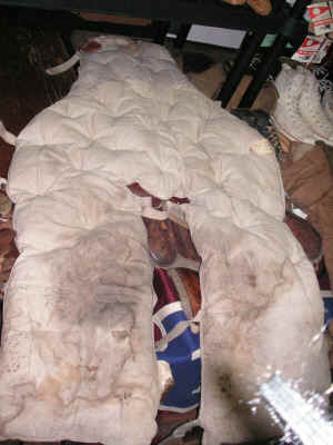 PICT0587 - Copy (Copy).JPG (336033 bytes)