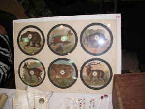 PICT4469_1200x900.jpg (176943 bytes)