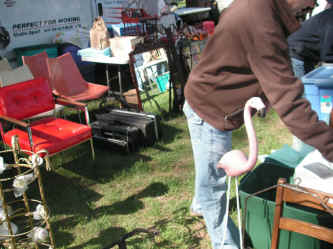 PICT0933_1200x900.jpg (207306 bytes)