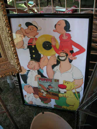 PICT1271_900x1200.jpg (173564 bytes)