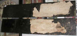 backs.jpg (177077 bytes)