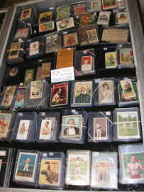 pict7380.jpg (302161 bytes)