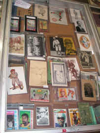 pict7387.jpg (305854 bytes)