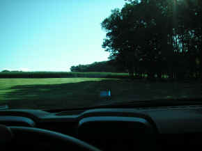 pict7953.jpg (131256 bytes)