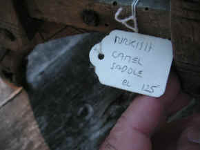 pict7965.jpg (138957 bytes)