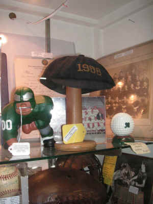 pict8115.jpg (148391 bytes)