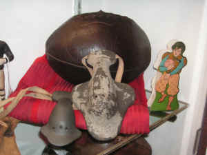 pict9560.jpg (176331 bytes)