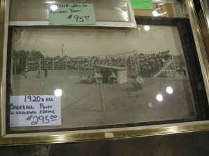 pict9762.jpg (390843 bytes)