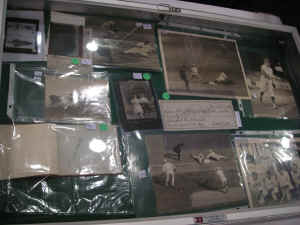 pict9783.jpg (337307 bytes)