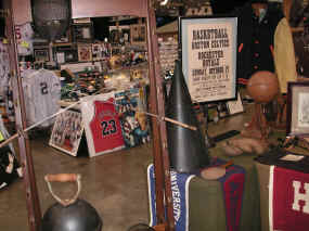 pict9788.jpg (491460 bytes)